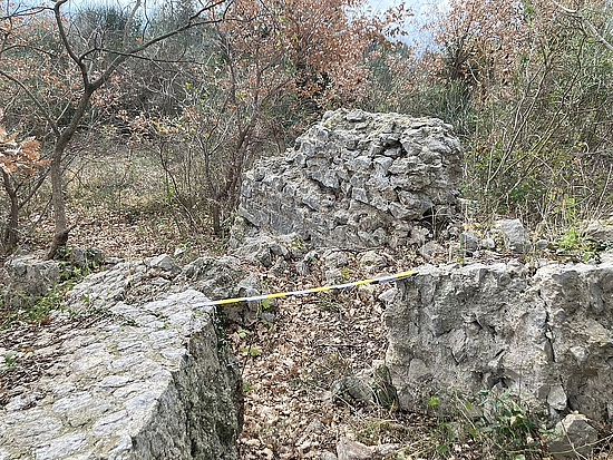 wall