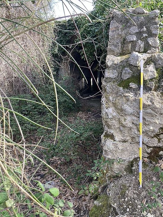 wall